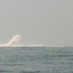 Pipa Gas Bocor di Perairan Pulau Panjang, UPP Bojonegara Masih Tunggu Informasi_Foto Bantenhariini_arp.BHI