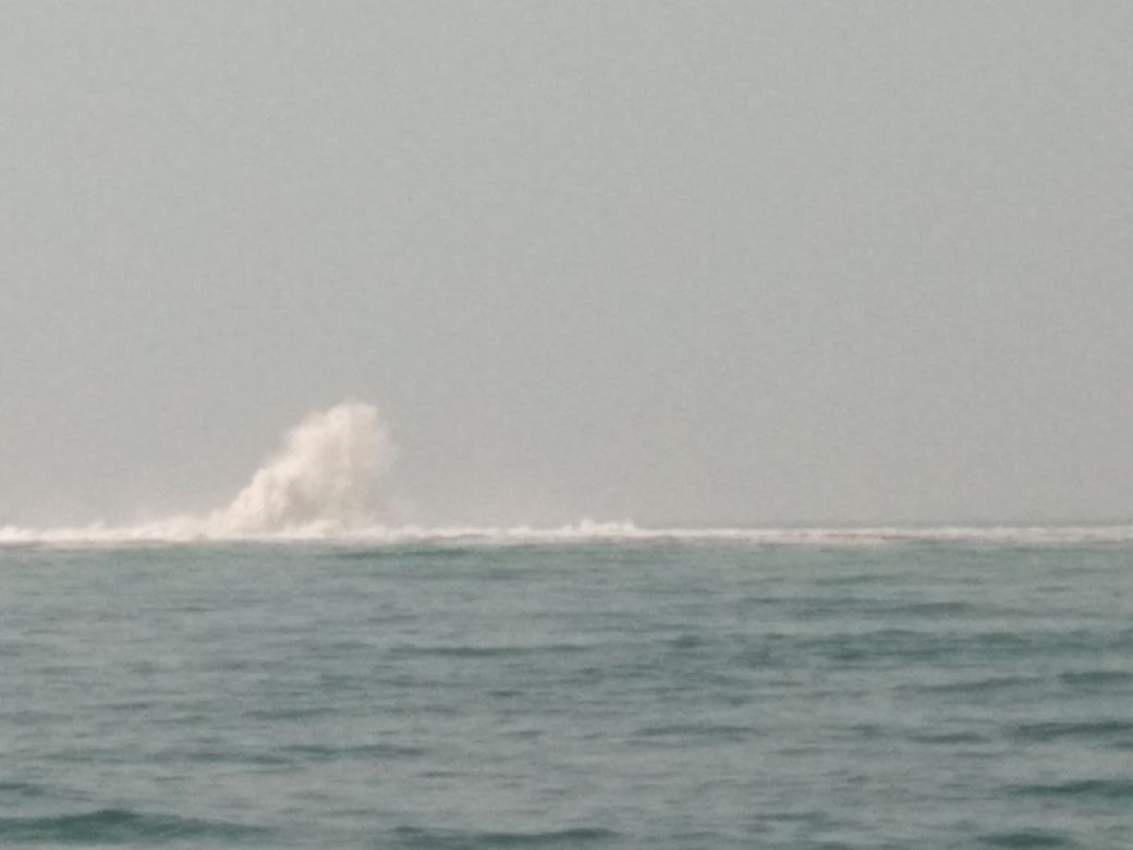 Pipa Gas Bocor di Perairan Pulau Panjang, UPP Bojonegara Masih Tunggu Informasi_Foto Bantenhariini_arp.BHI