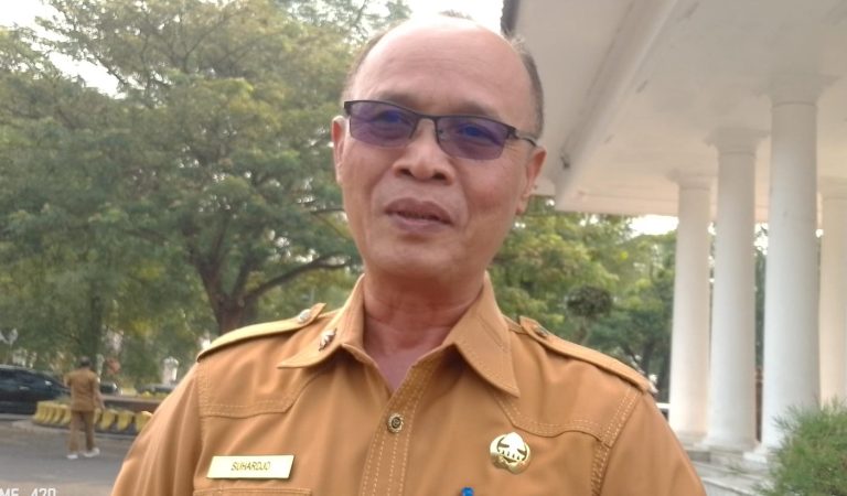 Hama Wereng Mulai Terdeteksi di 6 Kecamatan, Ini Antisipasi Pemkab Serang