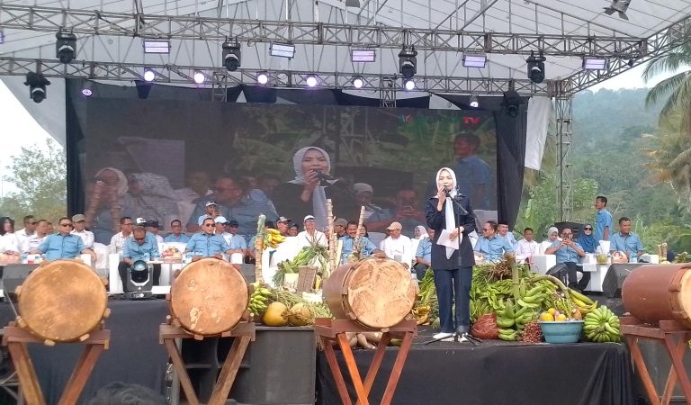Pembukaan Festival Sangga Negara 3, Bupati Serang: Bentuk Syukur Petani Padarincang yang Jaga Alam dan Hasil Bumi